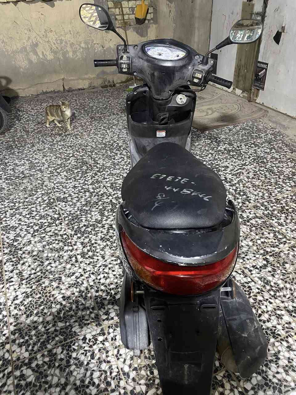 بريز بغبغأ نوزل دراجة كفالة عامة صالهة شهرين من منزلهة ربمة السعر 950 او بيهة مجال بكاني بغداد حي الرحمة مال شماعية رقمي ***********
