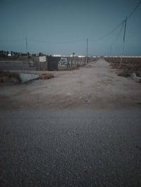 حله ورديه • شارع البعرنوس • ٢٤٤م