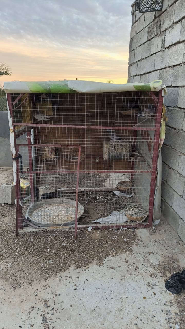 السلام عليكم قفص طيور للبيع العرض متر ونص الطول مترين الارتفاع 170 زائدا قفص بلابل خشب المكان العلم قرب سيطره 14 ) ***********
