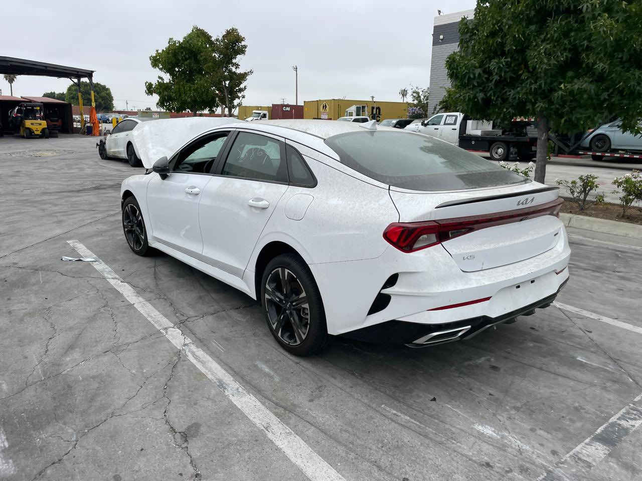 السلام عليكم
K5 2024
جيتي لاين
داخله كتاب شهداء تريد وكاله اي شي اني حاظر 
باقيلهه سنه و9 اشهر وتصير حره 

المحرك :1600 تيربو
الحادث موجود ب صور تبديل بنيد وتصليح ربع الجاملغ 

فول مواصفات عدا بانوراما 
تبريد بيانو
جنطة ذكية فتح تلقائي
اوتو هولد
شاحن وايرلس +لاسلكي
تحديد مسار
مثبت سرعه
نظام مانع انزلاق 
نقط عمياء 
رادارات امامية وجانبية وخلفيه 
حساسات إماميه وجانبية وخلفيه
تدفئة كشنات 
ابل كاربلاي واندرويد اوتو
شاشه كبيرة
دواخل جلد احمر 
5 وضعيات قيادة 
تشغيل عن بعد 
بصمه تشغيل +بصمه أبواب 
وبعد بيهه هواي مواصفات 
رقم بغداد 
ماشية 17 الف سياره جديدة
صور الحادث موجودة بالصور
السعر 168
مكاني بغداد حي اور 
للاستفسار ***********
