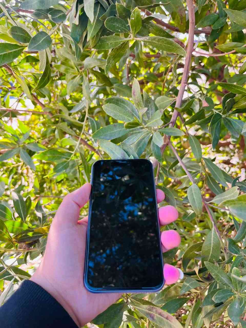 السلام عليكم
آيفون 11 عادي للبيع او مراوس ايفون  او ألترا فقط 
ذاكره 128 
بطاريه 78 بلاديه صرفها كلش حلو 
مكفول مامفتوح وتر بروف بس ملاحظه بسيطه فقط هاي الشخوط الي بل شاشه مثل ماموضح بل صوره 
لون مميز بنفسجي 
نموذج M 
تك سيم كارت 
ملحقاته شاحنه فقط كارتونه ضايعه 
عنوان نجف حي النصر مهندسين 
للاستفسار اكثر خاص او لاتصال علا رقم الهاتف 
***********
