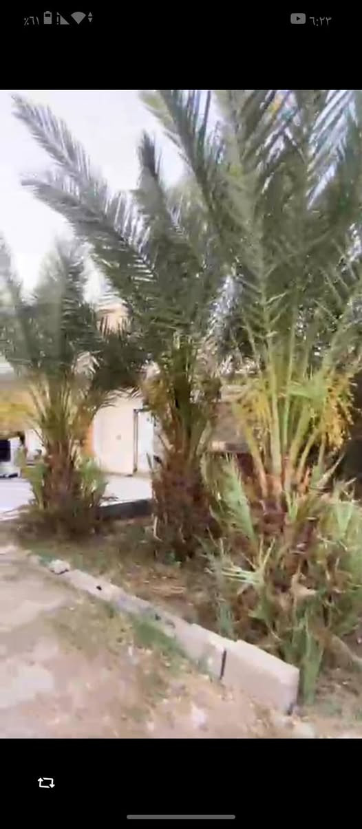 للبيع او مراوس 1500متر مبني ست غرف غرفتين نضام سويت صالتين مطبخ استقبال خارجيه وحمامات داخلية و خارجية كله مسيج ناصرية, ذي قار


**إذا كنت صاحب هذا الإعلان وتريد حذفه لأي سبب، رجاءا أرسل رسالة إلى الدعم الفني**