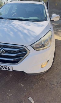 جامعة بابل • طب حمورابي • مطلوب طالبة