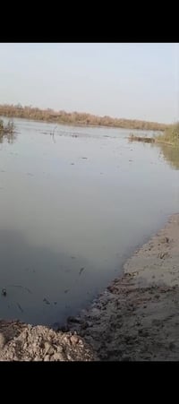 واسط العزيزيه • ٤دونم • سند ٢٥