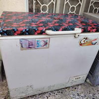 مجمدة • حجم جبير • شرط التجميد