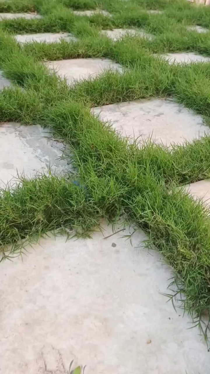 مع بداية الربيع دع حديقتك تنبض بالحياة 
مع مجموعة المهندسين الزراعيين 
ادامة الحدائق
 تسميد 
مكافحة الحشرات 
تقليم الاشجار
ديكورات حدائق
اسيجة
للاستفسار الاتصال على الارقام التالية 
‏‪***********‬‏
***********
