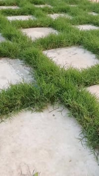 مع بداية الربيع دع حديقتك تنبض بالحياة  مع مجموعة المهندسين الزراعيين ...