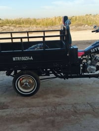 ستوتة ١٣ • اوراق سكنر • توك توك