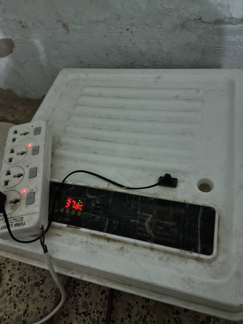 السلام عليكم متاح فقاسة صينية حجم 64 بيضة تفقيسها 70بالمية سعر 60 قفل


**إذا كنت صاحب هذا الإعلان وتريد حذفه لأي سبب، رجاءا أرسل رسالة إلى الدعم الفني**