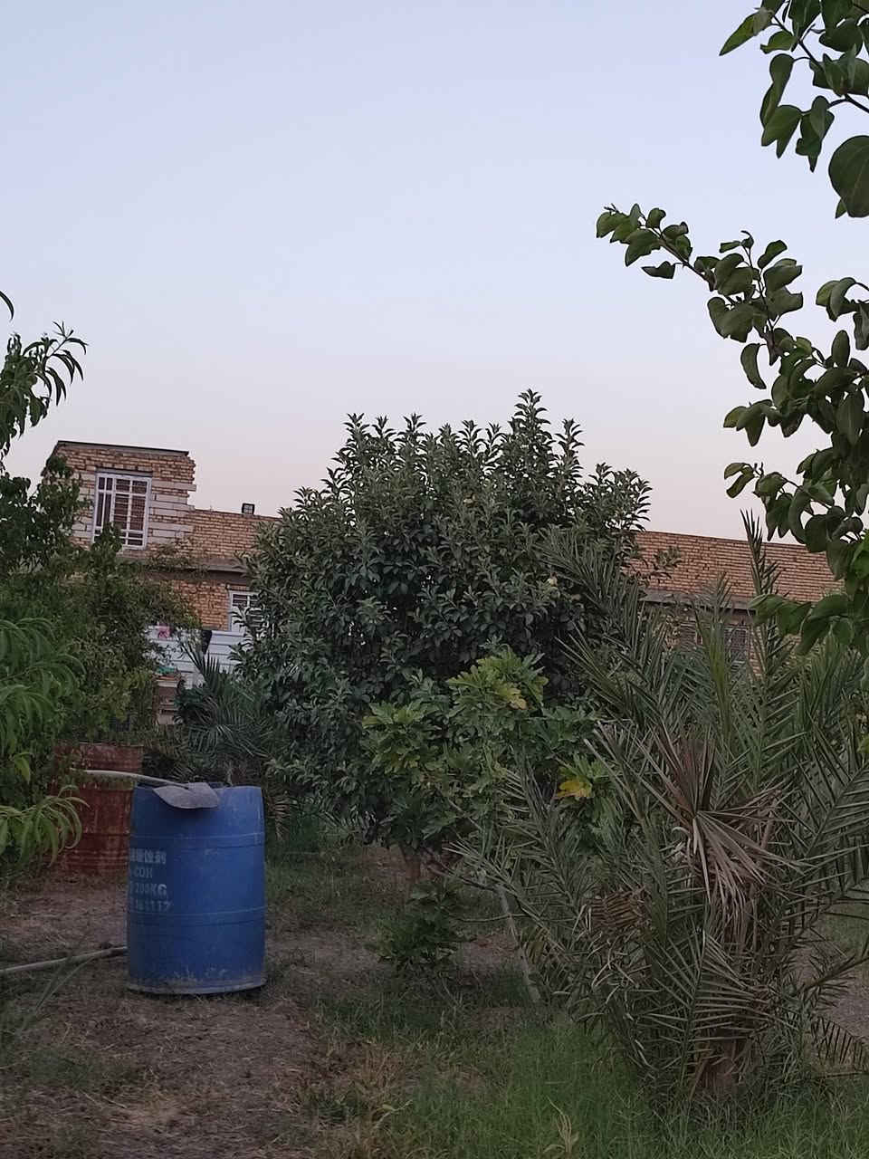 ارض زراعيه للبيع مع بيت كامل المساحة الكلية 1750 متر الأرض مزروعة {{ 20نخله + 35 تين + 8 تفاح+ 6 رمان+ 2 خوخ+ 2 عرموط+ 5 نبك}} الموقع الحمزة الغربي خلق الصقر// الاستفسار أكثر خاص او اتصال ***********/// شعندك مراوس نزل
