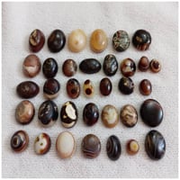 ٣٥ حجره • داودي وسليماني • ناصرية ذي قار