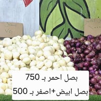 عرض خاص ٦/٧/٢٠٢٦ • ٧ص-١م • توصيل