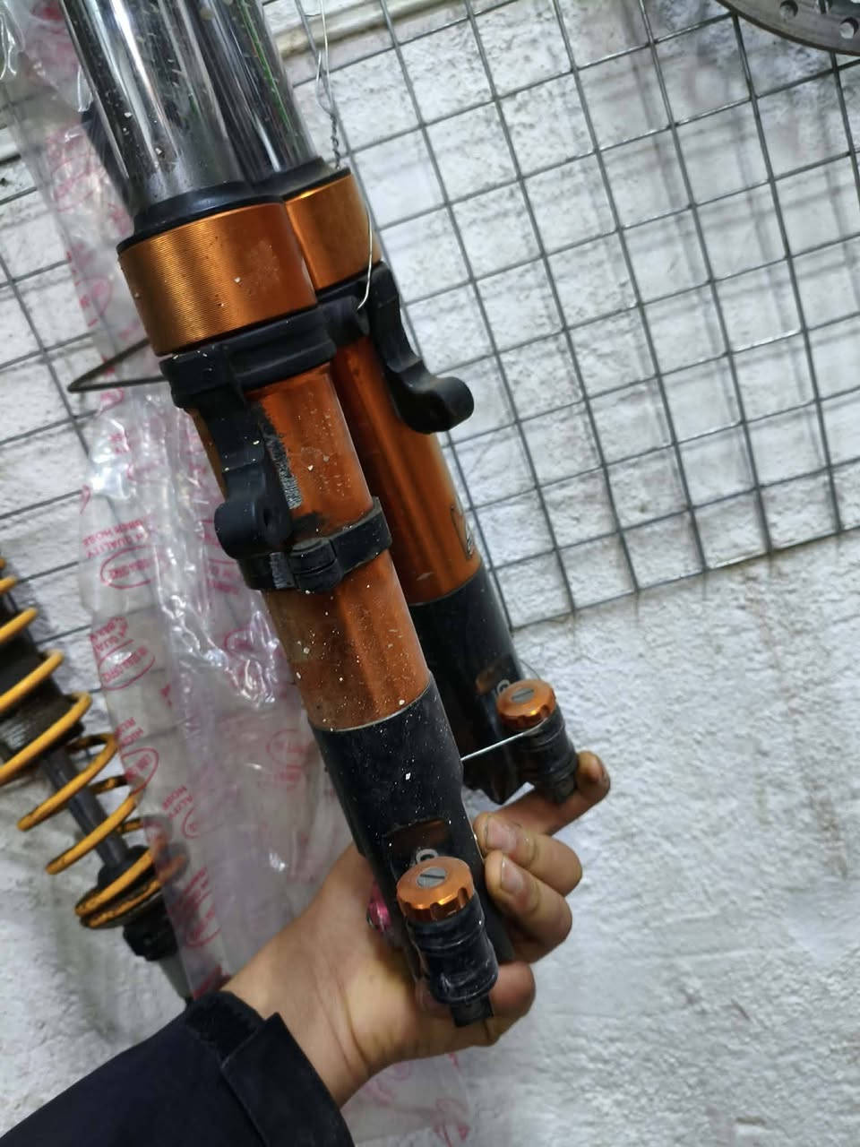 السلام عليكم غراض
١٢٠ / سكنس فحل جبلي ثعلب
 كلهن اصليات وعل شغل مكفولات 
مكاني بغداد الشعلة أي ستفسار خاص او *********** بس واتساب
توصيل موجود جميع محافظات العراق  تحياتي للجميع
ملاحضة أي قطعة تعجبك راسلني او علق بصورة وتدلل تحياتي
