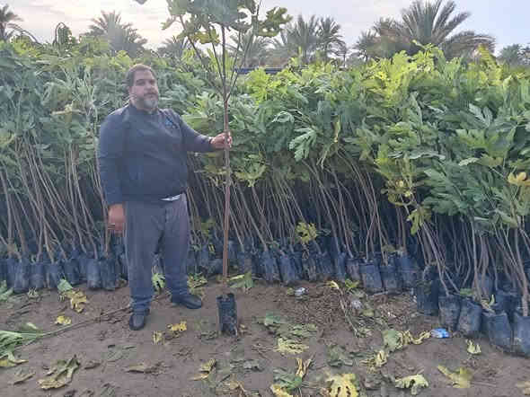 السلام عليكم ورحمه الله وبركاته
العنوان بغداد الرضوانية الشرقية طريق معمل زينب ثالث مشتل الجبير مجاور الملعب
توصيل جمله فقط
اتحب تجي للمشتل راسلني واتساب ***********ارسلك الموقع
***********
السعر حسب الحجم تبدأ من ٢٠٠٠ وتنتهي ٣٥٠٠
الحجم من متر إلى مترين
