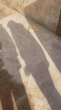 بيت 100متر اجار حي النواب لاستفسار ***********
