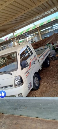 مكفولة عام • ٢٠٢٢ • بابل القاسم