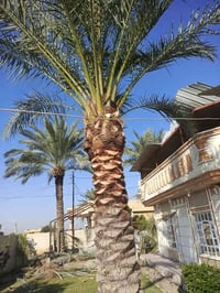 لعنده تكريب او تنضيف اني بل خدمه 07812340809 بي واتساب