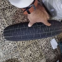 زوج دعاميات النترا ٢٠ نضافتهن ٧٠ /١٠٠ السعر ١٥٠  الناير طوارى عنوان بغ...