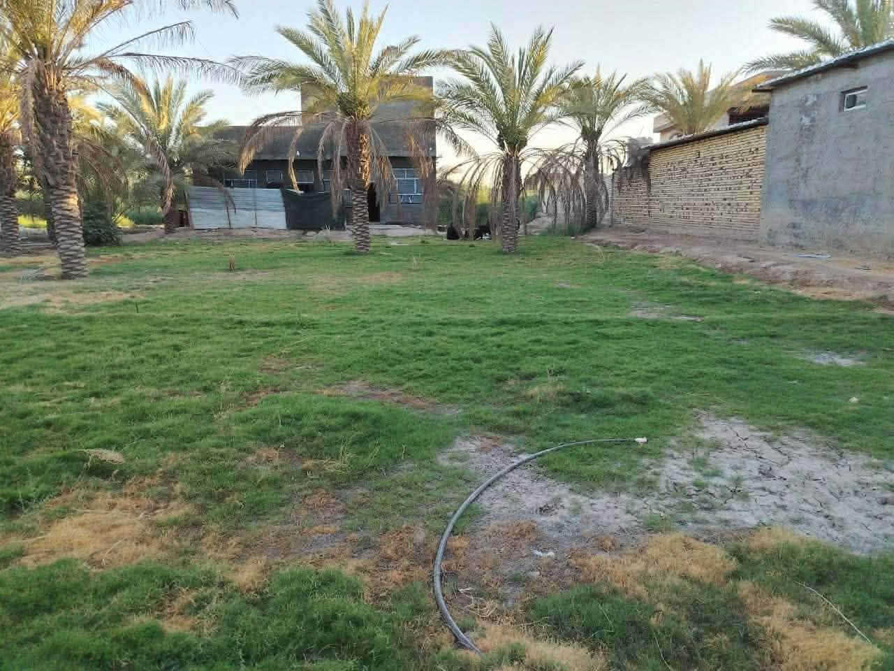 قطعه ارض طابو سند 25  مساحتها الكليه (1700M) الواجهيه (25M) والنزال (70M)   الارض تحتوي على منزل بناء حديث طابوق جمهوري مع سقف كونكريت  طابقين مساحته (300) متر  وحديقه  فيها نخل شكر ويوجد كافه الخدمات من ماء اساله وكهرباء وعلما ان الارض تقع على طريق يا حسين مقابيل معمل النشى مجاور مكتب المحافض في بابل الهاشميه والتفاصيل الاخرى اتصل وبيك خير ودلل ***********
