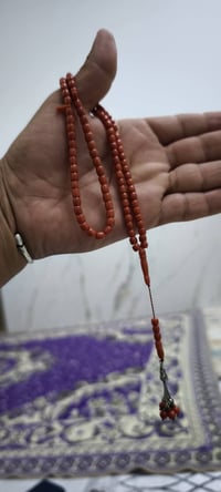 اللهم صل على محمد وآل محمد الطيبين الطاهرين 🕊️ هنا المرجان عنون الاصال...