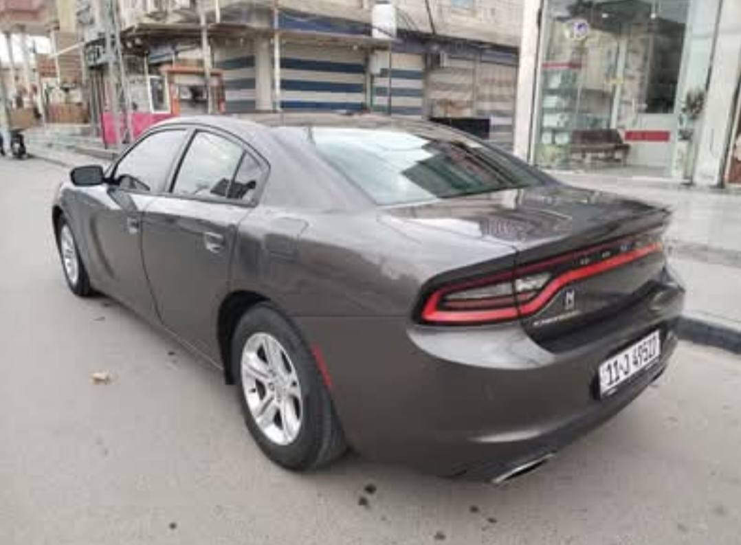 يا الله
جارجرللبيع 15 مسجله 22 (معلايه)
كفاله التفاصيل *********** البصرة, العراق
