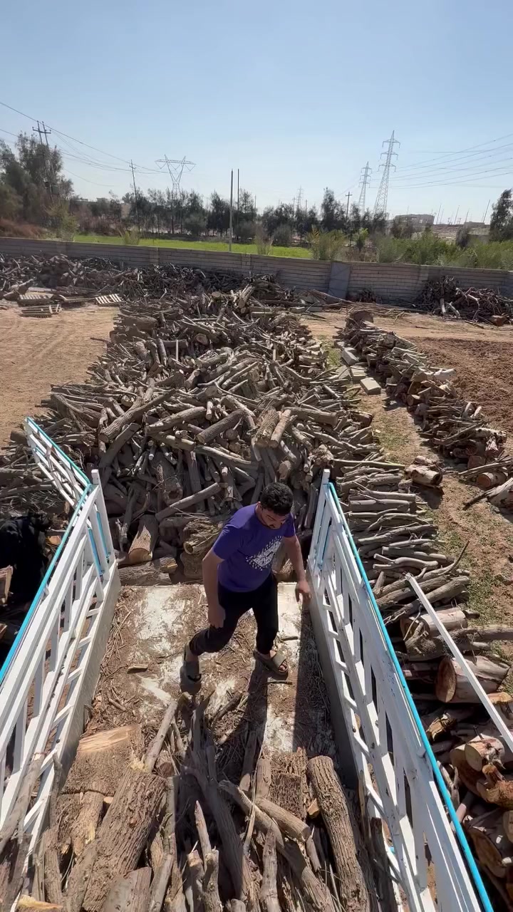 سمك حي سعر الكيلو ٥٠٠٠
وشوي سمجه شكد ما تطلع  ب الف ونص المكان سوق بيجي بضهر الكراج بيجي للحجز***********
***********
