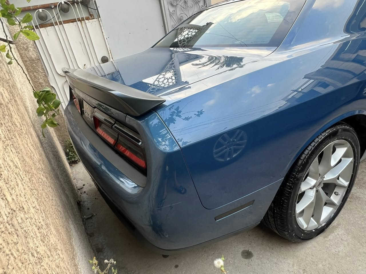 جالنجر  2023 GT
بيها تبديل بنيد وجاملغ جهة السايق 

والسونار مرفق مع الصور 

السيارة ماشية 29 ميل فقط 

ويل 20 

داخل جلد ابيض واسود 

السيارة متواجدة في بغداد او ديالى 

 معرض النبأ العظيم

السعر 177$ وبيها مجال بسيط 

للاستفسار على الارقام التالية 

***********

***********
