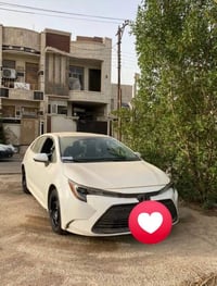 ويل ١٦ • مراوس بويل ١٥ • تاير خط أبيض