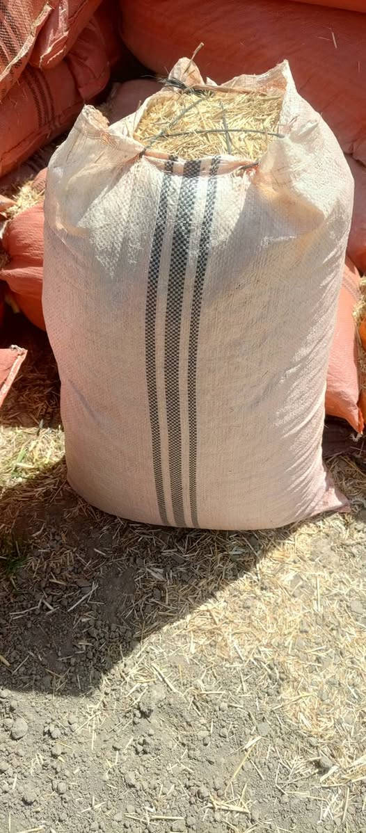 تبن مطحونة الجيس أبو 60سعر2000الكوفه ناحية العباسيه***********
