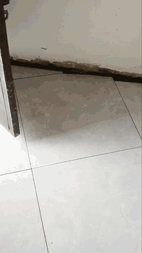 السلام عليكم خلفه سيراميك بورسلين كاشي مرمر بآيات درج.شغل درجه اولى . متفرغ حاليا شغلي داخل بغداد *********** واتساب
