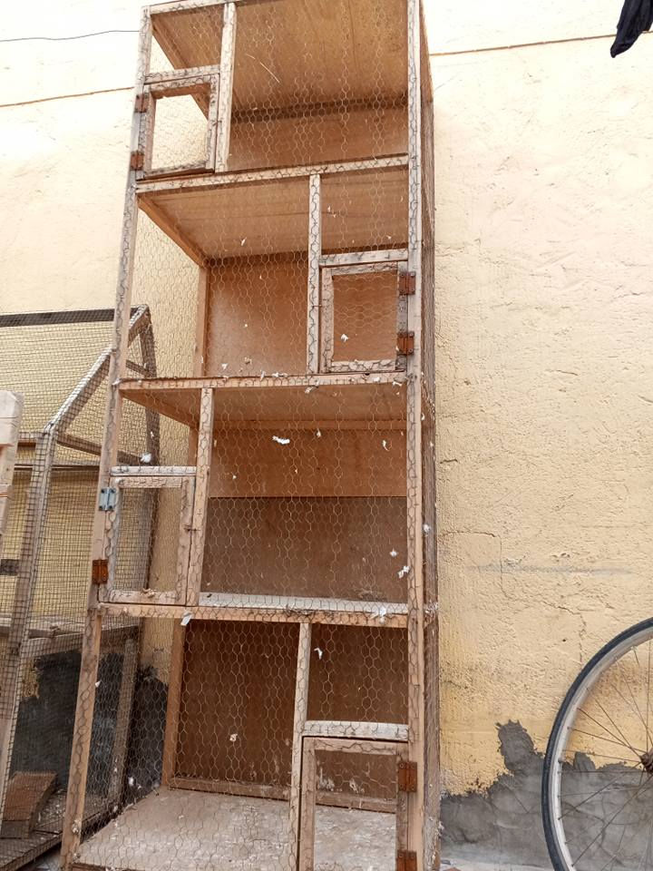 للبيع مستخدم شهر ***********
