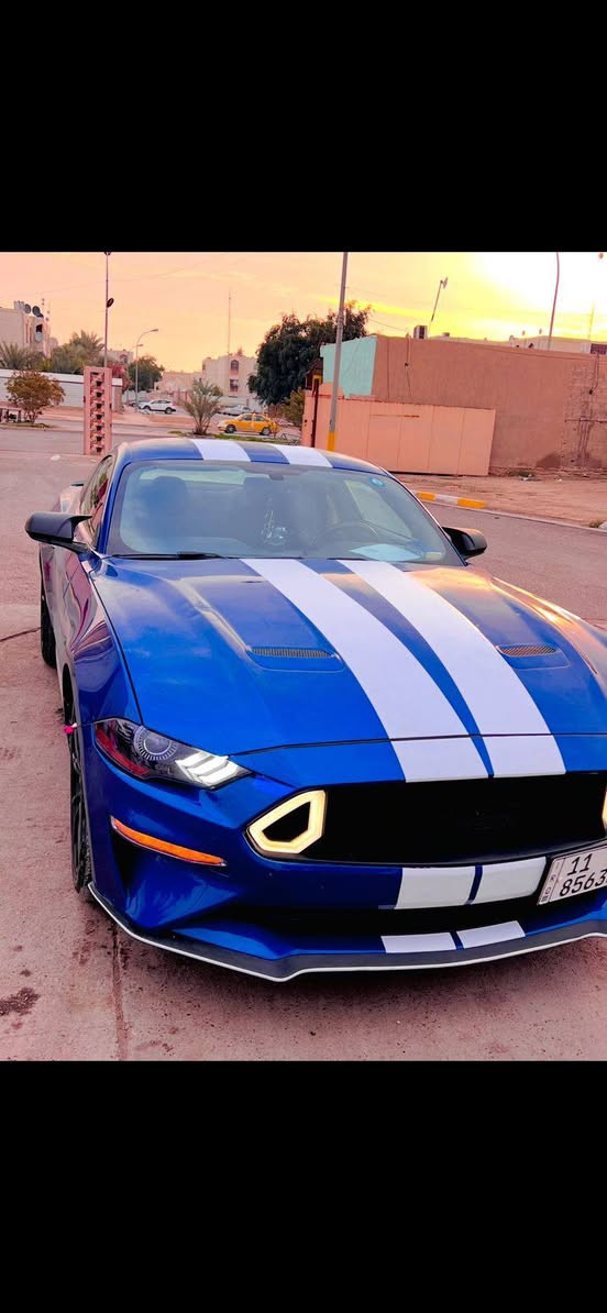 موستنك 2018 وارد أمريكي 
3 قطع صبغ 
سعر 140وبيه مجال 
***********
