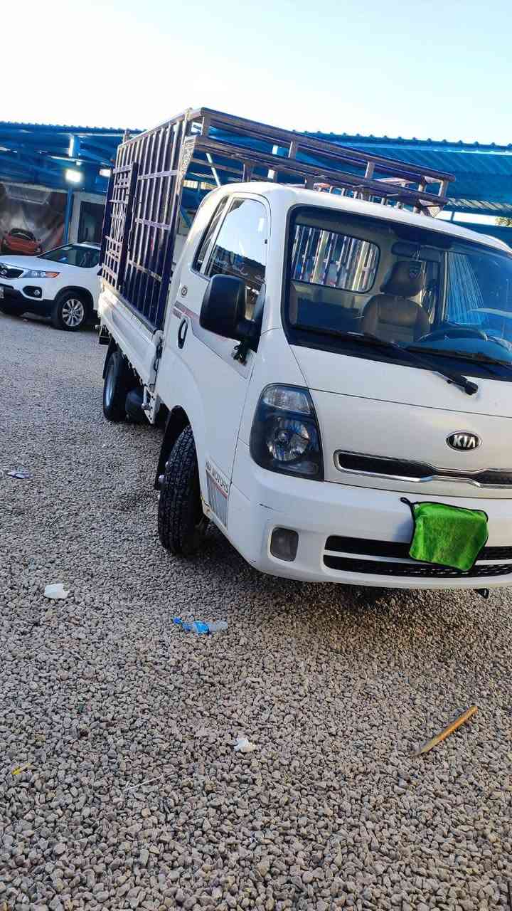 فحل موديل 19.
كفاله  ***********
