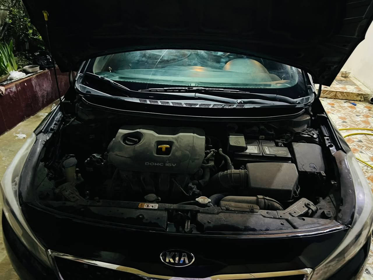 فورتي موديل ٢٠١٧ 
للبيع وبسعرك كلش مناسب 
السعر ١٠٧ فقطط
حادث السياره سطحي  بابين صبغ ومع هلال الجاملغ الخلفي 
محرك السياره دوش 
كير سياره اي تي 
تحكمات ستيرن محرك ٢٠٠٠ 
ماشيه ١٦٠ 
قطعتين صبغ
تايرات السياره جديده 
باقي المواصفات المعروفه 
مكان السياره سامراء 
الاتصال ***********
