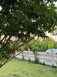 قال الله تعالى ﴿وَقُلِ اعمَلوا فَسَيَرَى اللَّهُ عَمَلَكُم وَرَسولُهُ ...