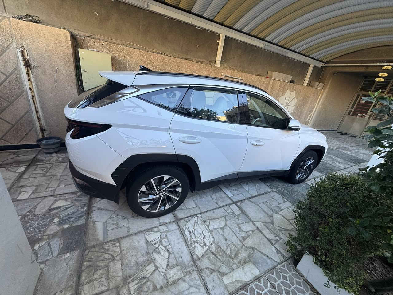 السلام عليكم
هونداي توسان  خليجي موديل 2024سياره ام الضمان الاولى سياره مكفوله كفاله عامه ستخدام شخصي
بصمه كراسي ثنين كهرباء سايد بريك بصمه اوتو هوالد داخلها لون اوف وايت ماشي سياره 16

مكانها بغداد الجديده
***********
