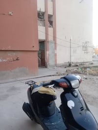 بطة • مكينه ناعمه • اوراق