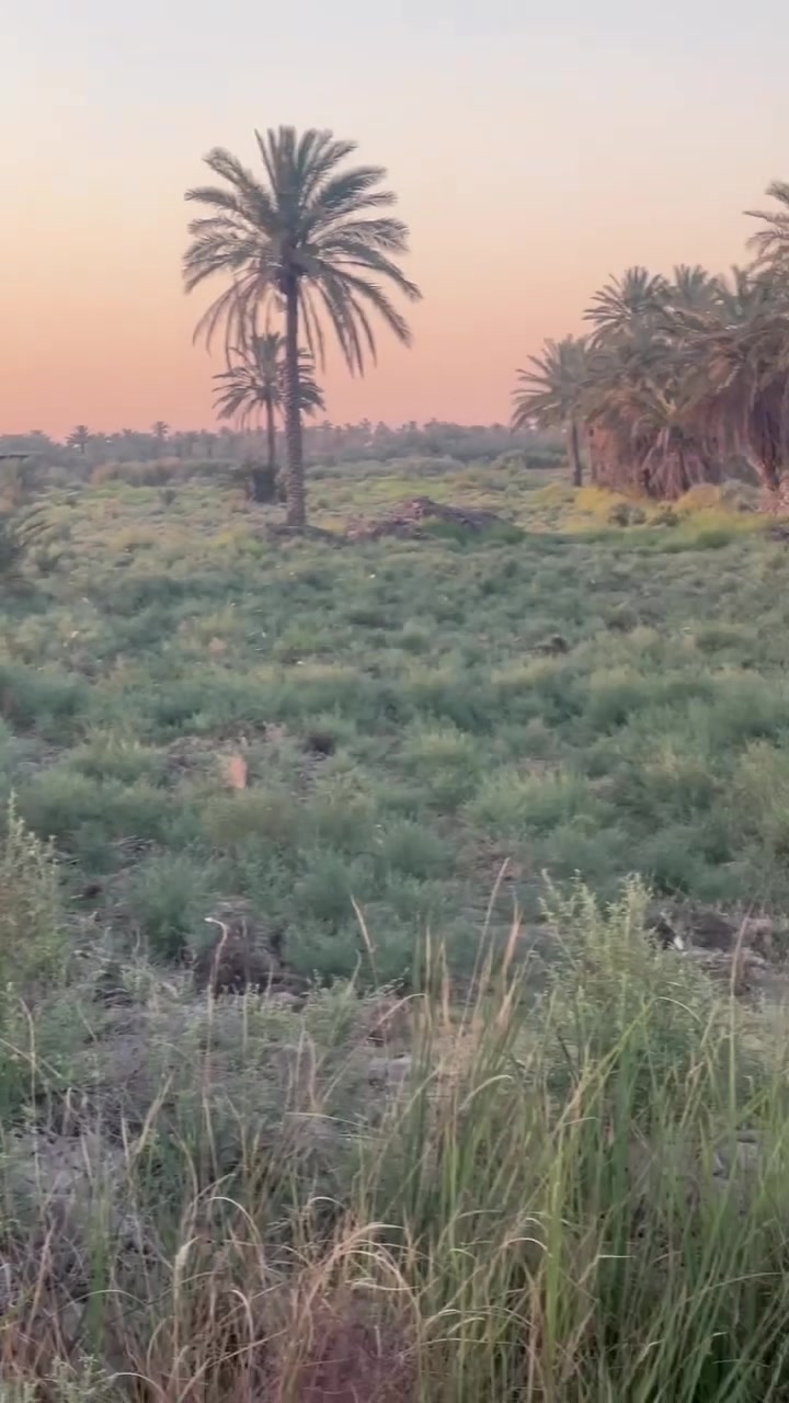 السلام عليكم (2) دونم طابو زراعي سند 25 العنوان كربلاء طوريج قضاء الخيرات طريق ازبيد ماء سقي كهرباء طوارئ #قريبه تبعد عن الشارع 260 متر
#الواجهة 40 متر
#السعر 45 الدونم الواحد
الاتصال الرقم ***********
