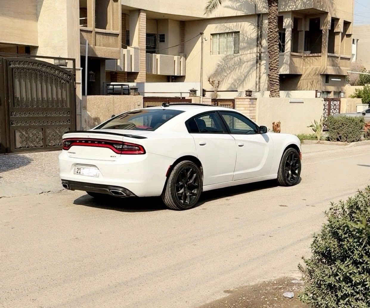 السلام عليكم 
جارجر موديل  2019  SXT  امريكي كلين فول 1/1 فتحة رادار 
مكفولة كلين 
السعر 215 وبيها مجال 
الاتصال عل رقم  *********** بغداد زيونة
المواصفات فول 1/1 
*بصمة +بصمة ابواب 
*فتحة
*كراسي خزن ميموري 
*كراسي كهرباء امامية
*كشنات تدفئة تبريد 
*استيرن تدفئة تبريد
*كراسي كشنات جلد 
*رادارات جوانب
*تشغيل عن بعد
*نقطة عمياء 
*محرك 6 سلندر 
*شاشة كار بلي
*حساسات امامية وخلفية
*تخم تايرات اصلية
*مري قلاب 
*كامره خلفية
تحكم استيرن 

السعر  215 وبيها مجال

الاتصال عل رقم ***********
بغداد زيونة
