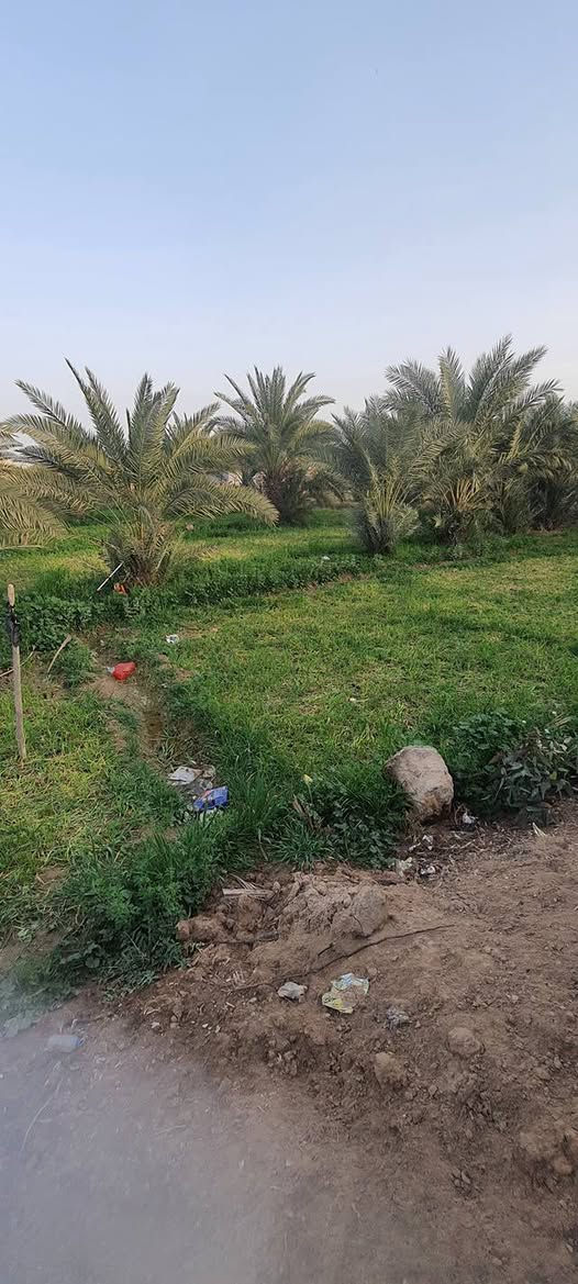 سلام عليكم بستان بلمزبانيه قرب المدرسه النزال ٤٠والعرض ٢٥طابو زراعي سند خمسه وعشرين هاذه رقم رعيه ***********
