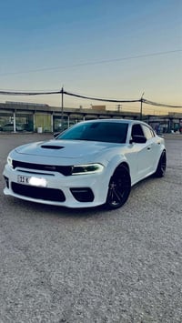 سكات باك • وايد بدي • نجف