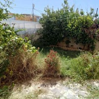 حدائق • تنظيف • زرع