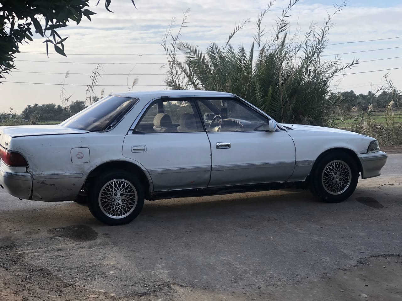 السلام عليكم ورحمة الله وبركاته مارك عضم رقم كربلاء سنويه عضم راعيه بكربله ماندله مابيه گص ولا نقل اتهد سرقه وعشائر مكاني النجف الاشرف الكوفه العباسيه مكينه وگير مكفولات السعر ١٩ وبيه مجال رقم الهاتف *********** معه فاق الشكر والتقدير
