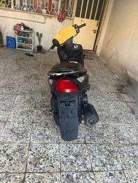 ماكس ثعلب GTR • سلف وهندل • القاهره