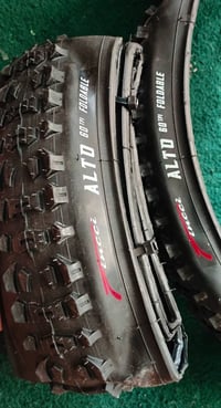 زوج • بسكليت