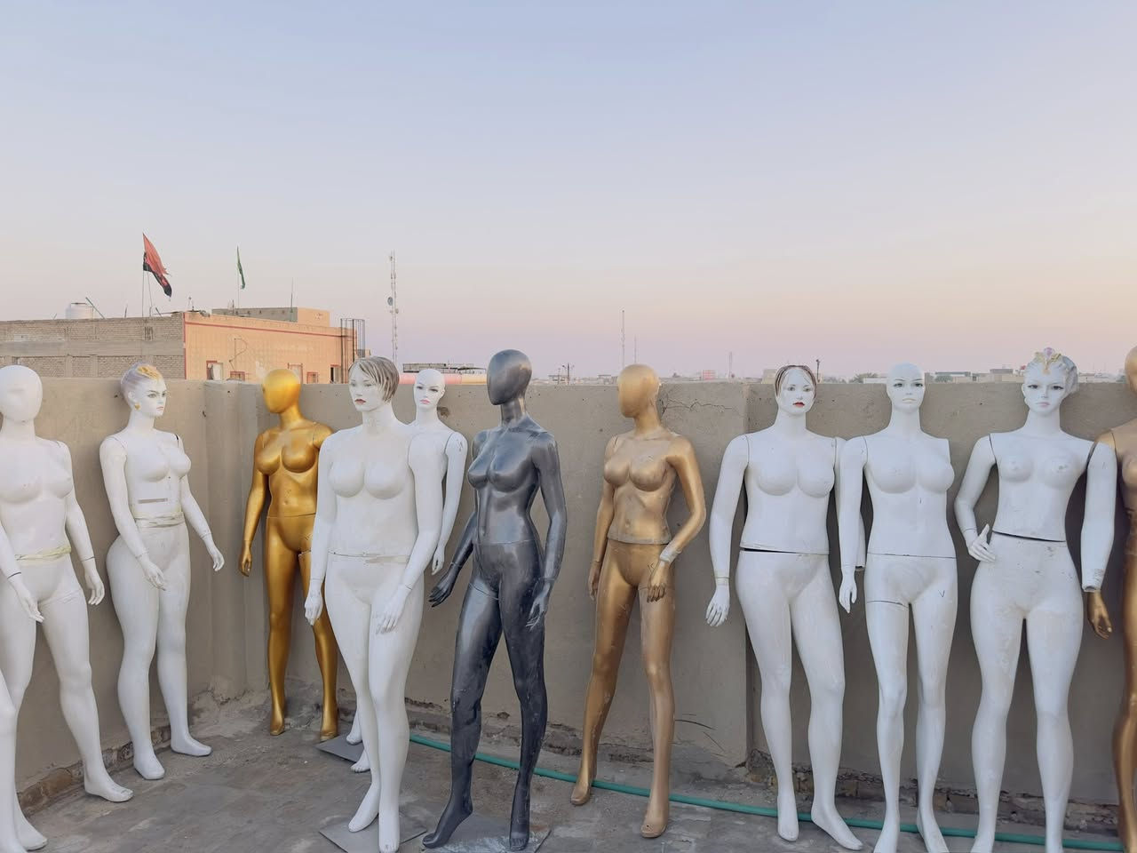 مليكانات للبيع ب ٢٠ فقط  مكاني نجف مكتب الرشيد ***********
