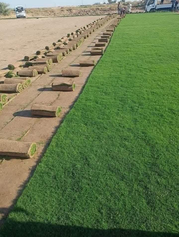 مزارع ديالى للثيل الطبيعي – جودة بلا حدود! 🌿
نوفر لك أجود أنواع الثيل الطبيعي (هندي درجة أولى) – مناسب لجميع الاستخدامات:
🏡 المنازل | 🌳 الحدائق | ⚽ الملاعب | 🏢 الدوائر | 🏗️ المشاريع 
للاستفسار الاتصال على الرقم *********** أو واتساب
