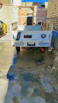 ستوته • موديل 20 • أوراق كاملة