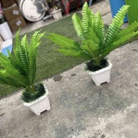 جملة ومفرد • ديكور منزلي • حدائق