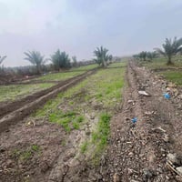 بستان زراعي • ٣٧٨٠م • خلف حي المالكي